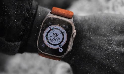 大快人心 这家只想 噶韭菜 的智能手表品牌,终于凉凉